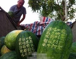 卖瓜网红一次吃一百个,网红一次吃下百个瓜，记录惊人食量